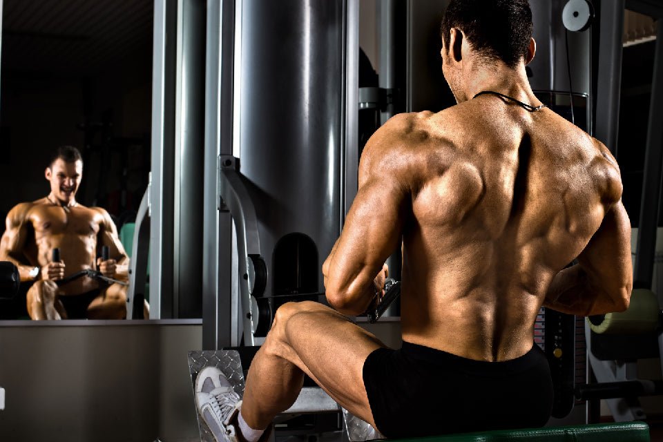 The 60-day summer shred: Get in the best shape of your life - GAT SPORT