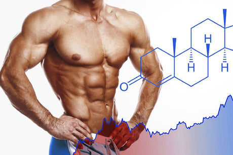 3 reasons to consider using a testosterone booster - GAT SPORT