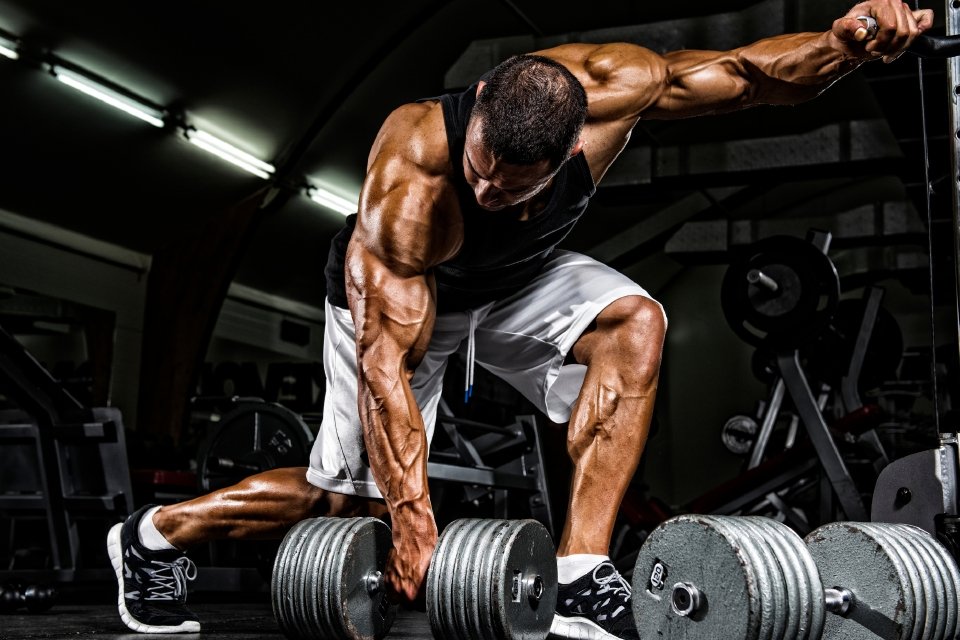 Compound or Isolation Training: Which method should you be using? - GAT SPORT
