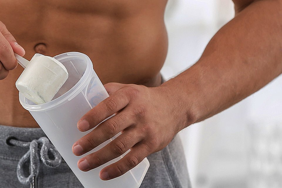 How to improve your gut health - GAT SPORT