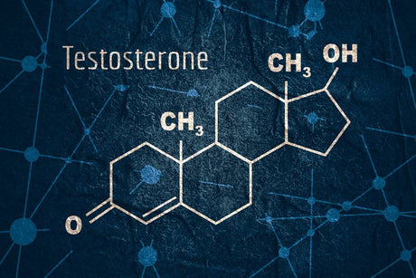 How your testosterone levels affect your mental health - GAT SPORT