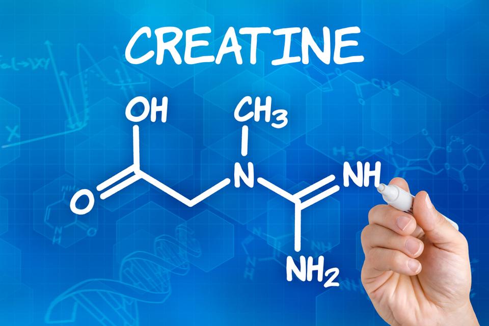 The King of Creatine: Creatine Monohydrate Is Still Wearing the Crown - GAT SPORT