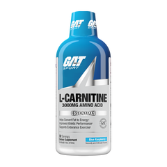 A bottle of GAT Sport L-Carnitine 3000mg Amino Acid dietary supplement in Blue Raspberry flavor, featuring a blue and white label on a solid white background.