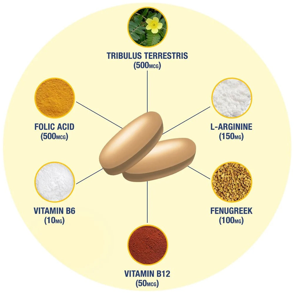 Supplement chart with pills and labeled ingredients on a beige background