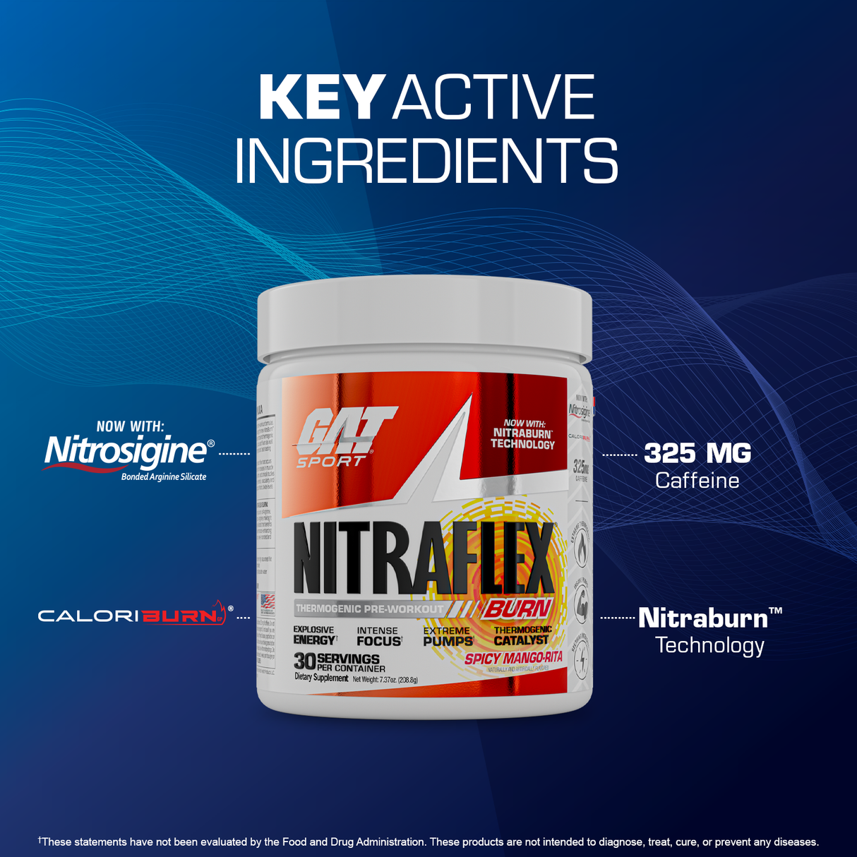 GAT SPORT NITRAFLEX Burn - key active ingredients