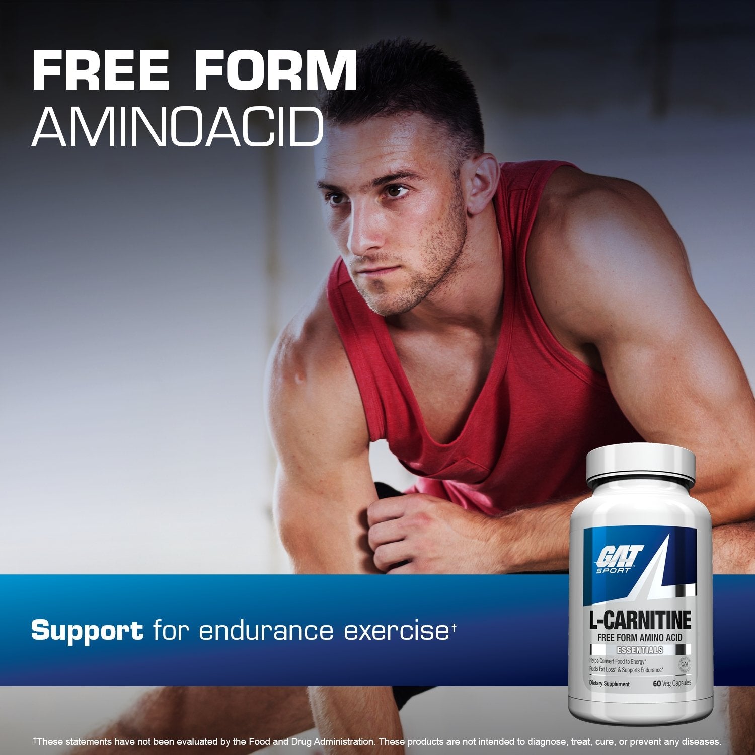 GAT L Carnitine 60 Capsules GAT L Carnitine 60 Capsules